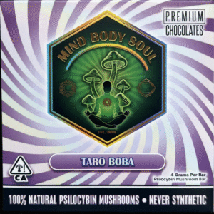 mind body soul mushroom