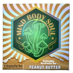 mind body soul mushroom bar