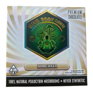 mind body soul mushroom horchata