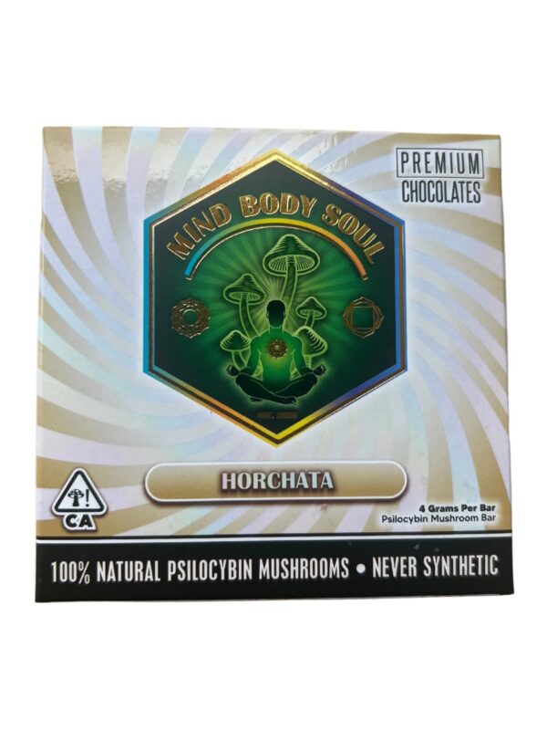 mind body soul mushroom horchata
